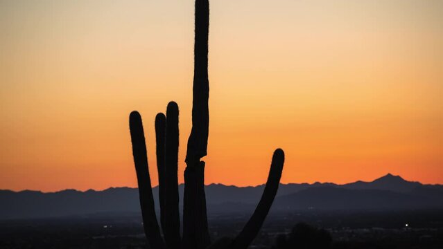Stunning Orange Sunset Time-Lapse Behind Cactus Shadow Silhouette with Phoenix South Mountains