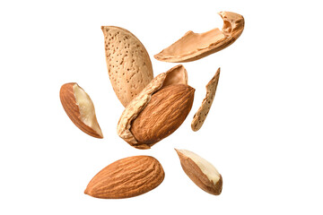 full almond crack fly on white background isolated ,piece almond clipping path