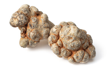 Dried herb, notoginseng roots isolated on white background