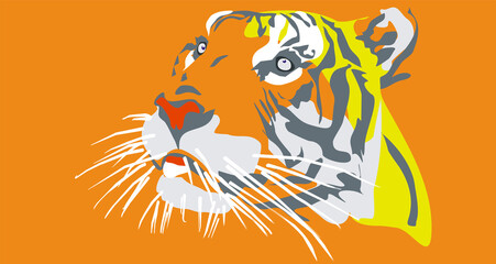 tiger head vector in color