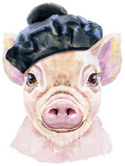 Watercolor portrait of mini pig in black beret
