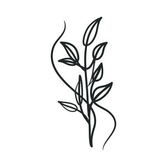 Obraz premium Plant continuous line art drawing