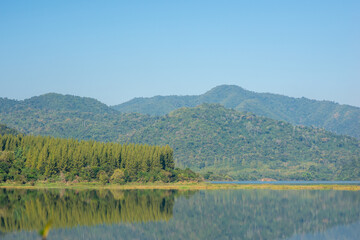 Fototapeta premium reflection of mountain pine forest and clear blue sky