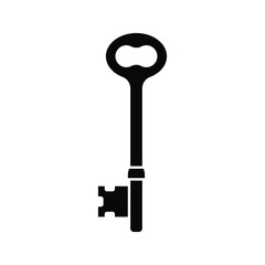 Key icon, isolated. Flat design. Vector illustration