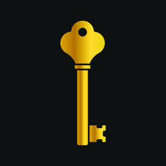 Key icon, isolated. Flat design. Vector illustration