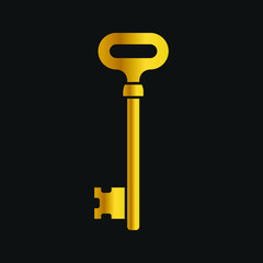 Key icon, isolated. Flat design. Vector illustration