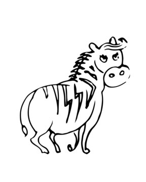 Fat zebra funny. Cheerful wild animal. A comical character. Outline sketch. Hand drawing is isolated on a white background. Vector