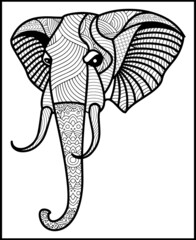 Elephant coloring book for adults vector illustration