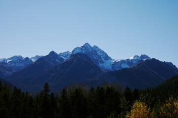 mountain forest panorama open air summer vacation ecology