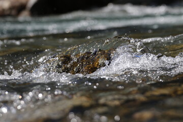 water drops on a surface