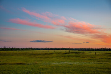 sunset over the field