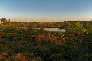 NSG „Schwarzes Moor", Biosphärenreservat Rhön, Unterfranken, Franken, Bayern, Deutschland