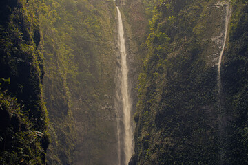 Trail to sacred waterfalls in the valley at hana, Maui, Hawai