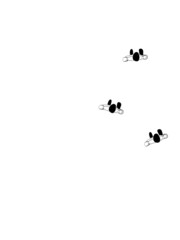 Top view of People in a plan