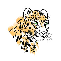 Leopard head portrait black outlines. 
 Vector illustration isolated on white background. Print for t-shirt, tattoo, element for design.