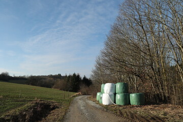 Landscape with hay rolls near the road