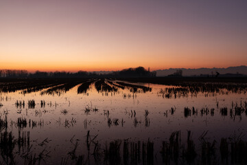Tramonto nella Campagna Novarese