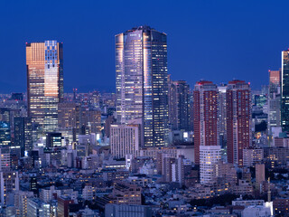 Fototapeta na wymiar 六本木ヒルズと東京の夜景