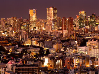 六本木ヒルズと東京の夜景