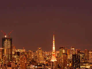 Naklejka premium 東京タワーと都心の夕暮れ