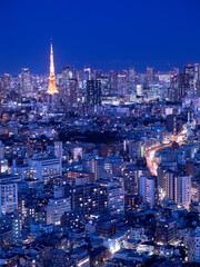 Fototapeta na wymiar 東京タワーと都心の夕暮れ