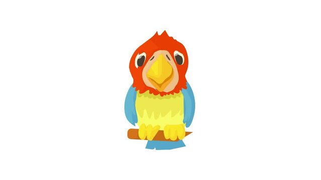 Parrot icon animation best cartoon object on white background