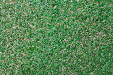 Green grass background,Football field.