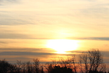 Fototapeta premium Dettagli al tramonto