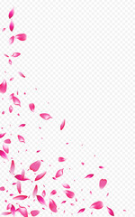 Beautiful Peach Japanese Vector Transparent