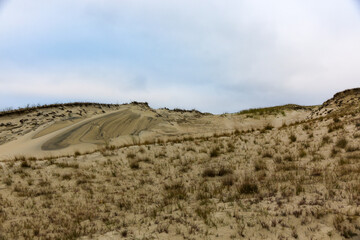 Sanddüne und Dünengras durch Wind gestaltete Landschaft auf der Kurischen Nehrung an der Ostseee