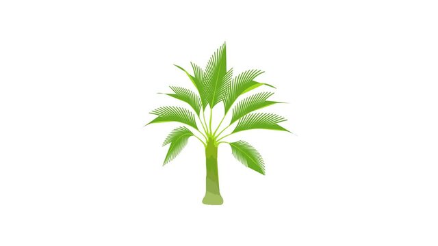 Spreading palm icon animation best cartoon object on white background