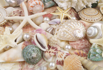Many seashells and starfishes with pearls