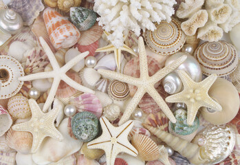 Seashells, pearls and starfishes as background