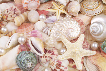 Starfishes, pearls, and tropical seashells close up