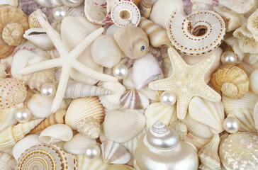 Pearl, sea shells and starfishes as background