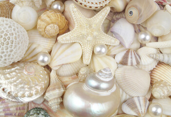 Starfish, seashells and pearls close up
