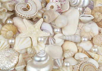 Tropical seashells with pearl and starfish close up