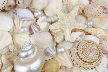 Starfish, pearl and seashells background