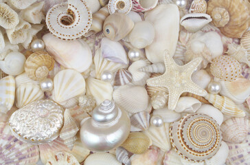 Seashells, corals, pearls and starfish as marine background