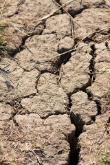 Drought-cracked soil closeup view with selective focus on foreground