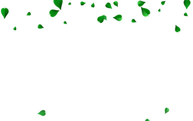 Green Greens Fresh Vector White Background Plant.
