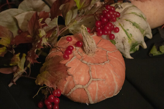Tematic autumn