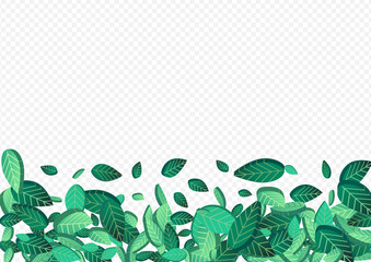 Lime Leaves Motion Vector Transparent Background