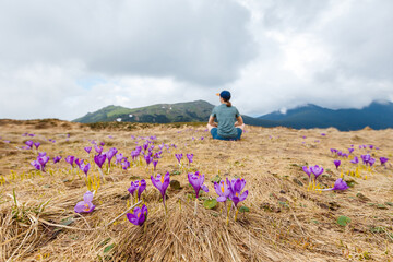 Woman sitting on the ground among crocus flowers field on the mountains hill. Concept of togetherness of people and wildlife, nature inspiration. Person relaxing during alone springtime trekking