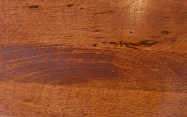 Texture of bark wood use as natural background.