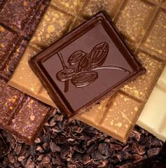 Assortment of chocolate (dark, gold and milk) with cacao beans