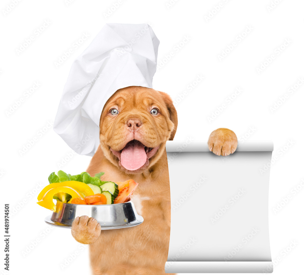 Poster happy puppy wearing a chef's cap holds bowl of vegetables and empty list. isolated on white backgrou