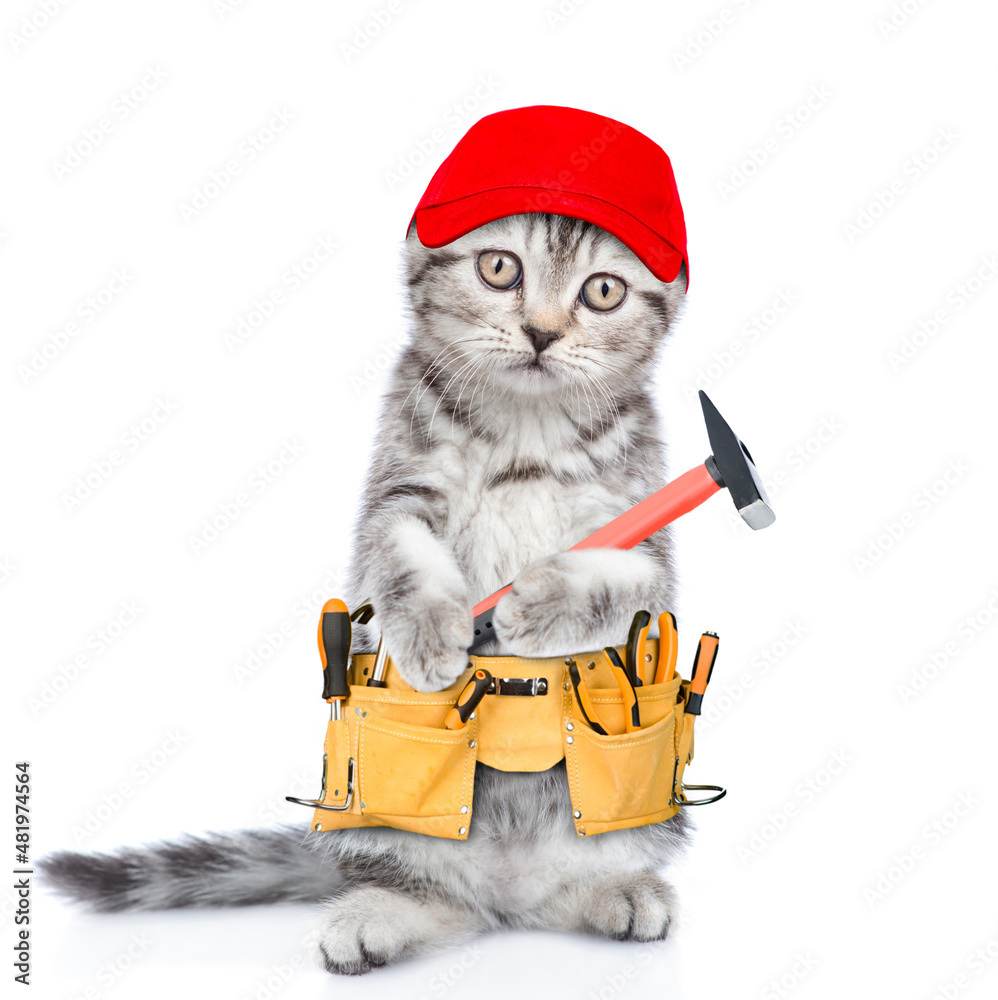 Aufkleber funny cat worker wearing red cap with toolbelt holds a hammer. isolated on white background