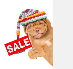 Smiling puppy wearing a warm hat holds sales symbol behind empty banner. isolated on white background