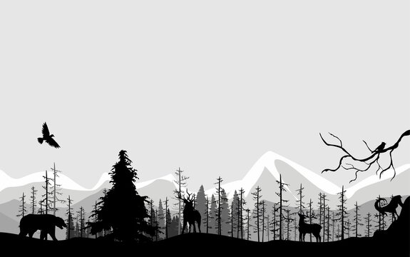 Monochrome color wildlife silhouettes of animals and landscape vector